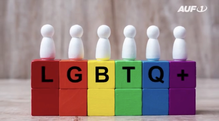 Transgender-Wahn: Wie das Unnatürliche zum Natürlichen gemacht werden soll