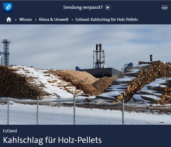 Estland: Kahlschlag für Holz-Pellets