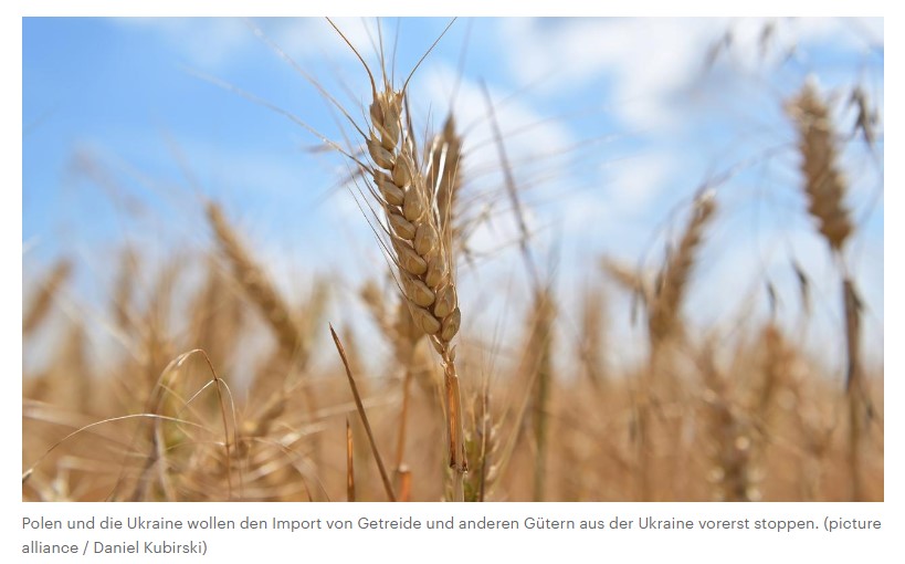 „Entscheidungen abstimmen“ EU-Kommission kritisiert Polens und Ungarns Importstopp von ukrainischen Gütern